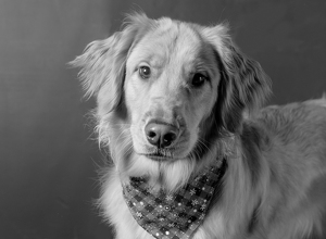 Fundraising Page: Chloe Casillo